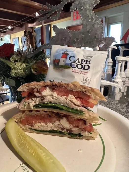 Chicken and mozzarella panini with tomato